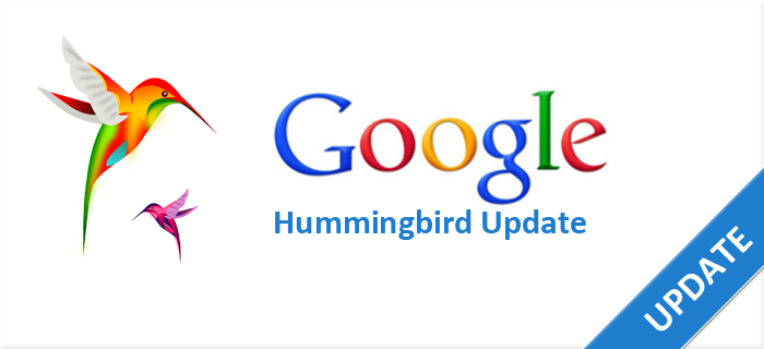 Hummingbird Update